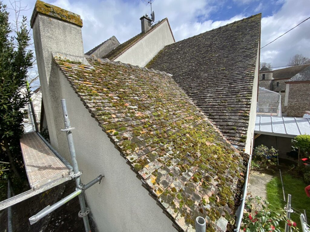 494174387_1254709886659755_1447385620618890386_n