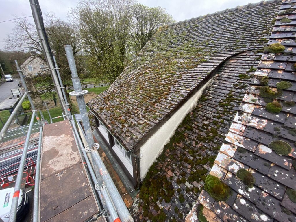 494218559_1254710226659721_758806807665567918_n